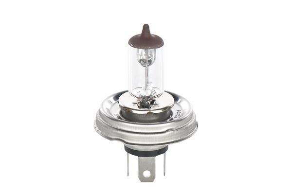 BOSCH 1987302021 Spotlight Bulb Fits Fiat Lada Peugeot Renault Suzuki Toyota