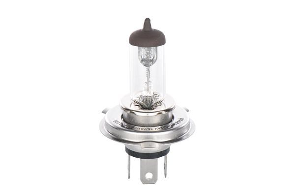 BOSCH 1987302862 Bulb Service Replacement 24V Voltage 75/70W Rated Power